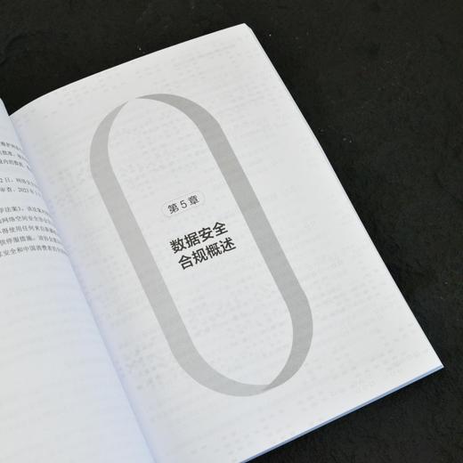 数据*合规能力建设指南 数据*实践 网络* 计算机网络技术教程书籍 商品图4