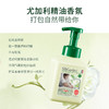 【多重精粹】蔬果园 抑菌洗手液（尤加利精油香氛） 500ml*3瓶 云朵泡沫净护香随 商品缩略图0