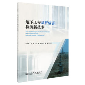 地下工程基桩病害检测新技术