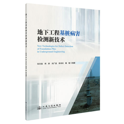 地下工程基桩病害检测新技术 商品图0