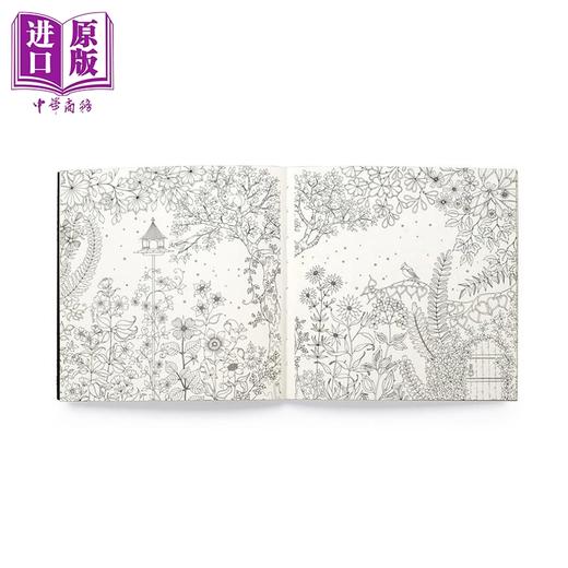 预售 【中商原版】迷你秘密花园涂色书 便携版 乔汉娜 贝斯福  Miniature Secret Garden 英文原版 Johanna Basford 袖珍版 平摊式装订 商品图4