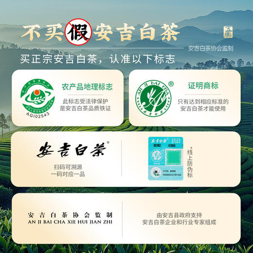 【中秋】茶叶 安吉白茶 2026新茶 春茶 绿茶 茶叶罐装 茶饮 五虎 125g(买1送1同款，配手提袋) 商品图6