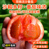 新鲜现摘流沙番茄包邮装 农家沙瓤流沙番茄    自然成熟   酸甜多汁  西红柿 商品缩略图0