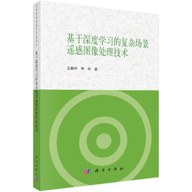 基于深度学习的复杂场景遥感图像处理技术 王新华 李壮 9787030862419
