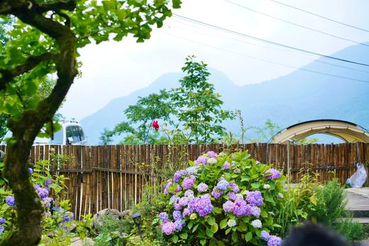 【崇州-244号院】5房独栋院子，鸡冠山、海拔1314米，看云海日出、春夏挖笋、夏季避暑、萤火虫，冬季赏雪slxz 商品图13
