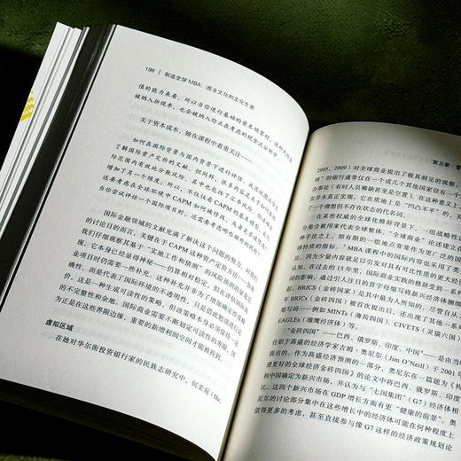 制造全球MBA 商业文化和文化生意 薄荷实验 当代商业教育 人类学研究 商品图11