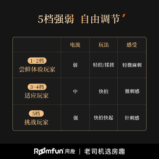 Roomfun房趣 激情电击调教棒 商品图2