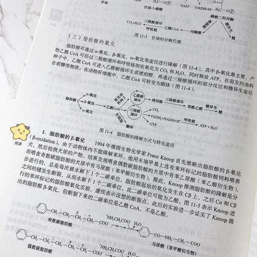 生物化学（第二版）张灵玲 9787030852243 商品图5