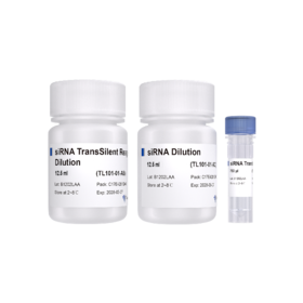 siRNA TransSilent Reagent Pro