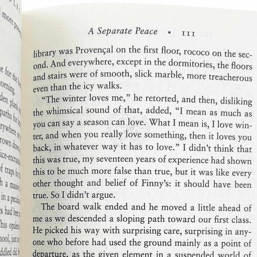 独自和解 英文原版青春小说 A Separate Peace 一个人的和平 全英文版进口英语书籍 另一种和平 电影原著 可搭麦田里的守望者正版 商品图3