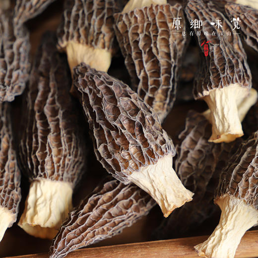 生态羊肚菌干（成都仓库-顺丰快递）| 100g/袋，来自四川巴中，生产者：  刘启华【合作生产，公平贸易】 商品图3