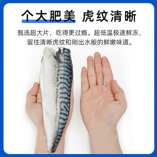 【纯净深海鲜捕急冻 独立包装 富含Omega-3 营养丰富 少刺】市舶士 挪威青花鱼900g（每盒5-6片 独立包装） 商品图1