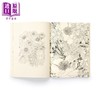 预售 【中商原版】繁花之年 花卉指南涂色书 Floribunda Year A Flower Colouring Companion 英文原版 Leila Duly 商品缩略图4