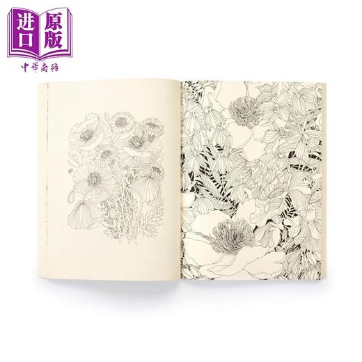 预售 【中商原版】繁花之年 花卉指南涂色书 Floribunda Year A Flower Colouring Companion 英文原版 Leila Duly 商品图4