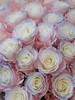 厄瓜多尔染色玫瑰AURORA BOREAL粉色欧诺拉北极光10支 商品缩略图6