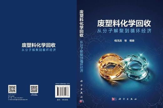 废塑料化学回收：从分子解聚到循环经济 梅清清 9787030853073 商品图3