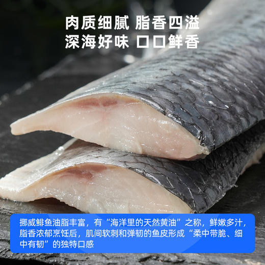 【深海新鲜捕捞 去头尾内脏中骨 配料仅有鲱鱼 富含蛋白质 Omega-3 少刺】市舶士 挪威鲱鱼片900g（每盒9-10片 独立包装） 商品图2