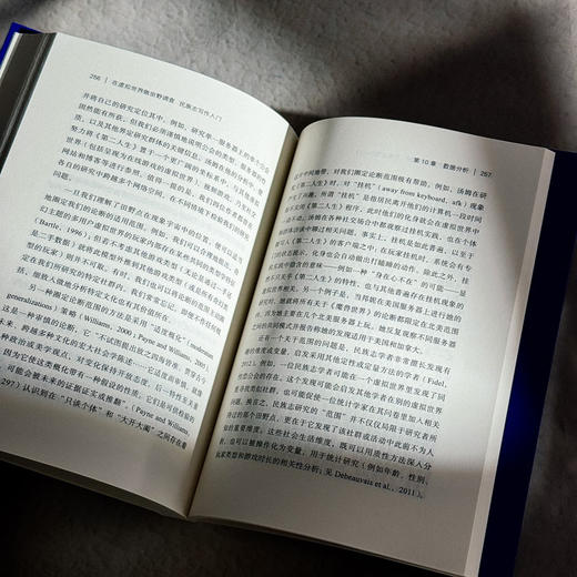 在虚拟世界做田野调查 民族志写作入门 社会科学核心方法论 质性研究 商品图13