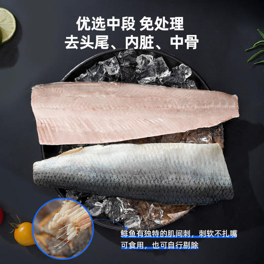 【深海新鲜捕捞 去头尾内脏中骨 配料仅有鲱鱼 富含蛋白质 Omega-3 少刺】市舶士 挪威鲱鱼片900g（每盒9-10片 独立包装） 商品图1