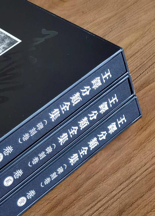【超值特惠 强烈推荐】《王铎分类全集  碑刻卷》，精装，全3册，8开，王铎著，河南美术出版社2023年一版一印，定价2400，售价；598元。 商品图2