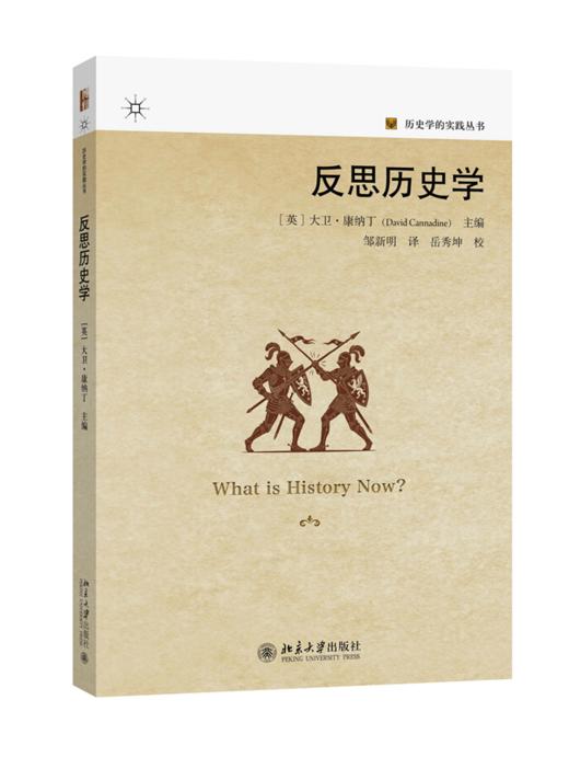反思历史学  大卫·康纳丁 主编  邹新明 译  商品图0