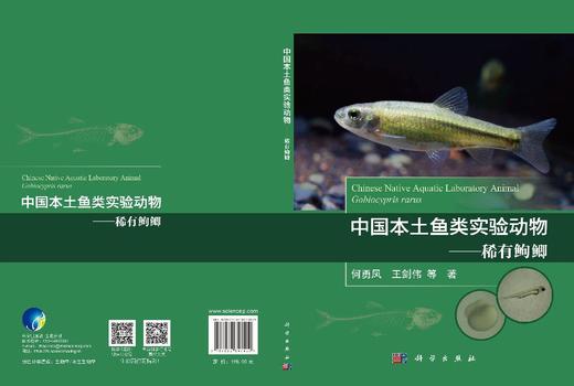 中国本土鱼类实验动物——稀有鮈鲫 何勇凤等 9787030847409 商品图3