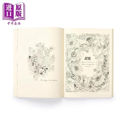 预售 【中商原版】繁花之年 花卉指南涂色书 Floribunda Year A Flower Colouring Companion 英文原版 Leila Duly 商品图3