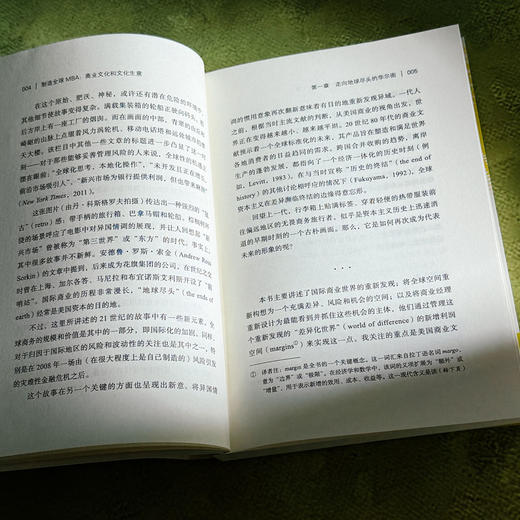 制造全球MBA 商业文化和文化生意 薄荷实验 当代商业教育 人类学研究 商品图7