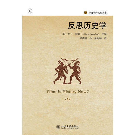 反思历史学  大卫·康纳丁 主编  邹新明 译  商品图1