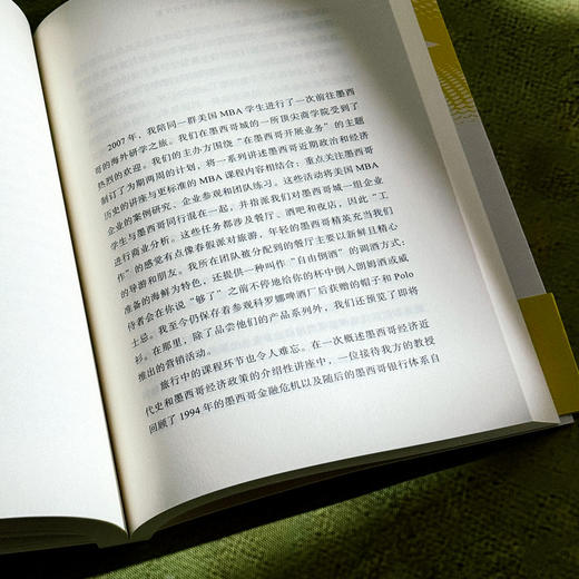 制造全球MBA 商业文化和文化生意 薄荷实验 当代商业教育 人类学研究 商品图10
