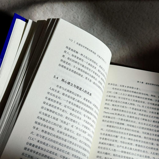 在虚拟世界做田野调查 民族志写作入门 社会科学核心方法论 质性研究 商品图12