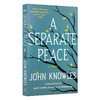 独自和解 英文原版青春小说 A Separate Peace 一个人的和平 全英文版进口英语书籍 另一种和平 电影原著 可搭麦田里的守望者正版 商品缩略图0