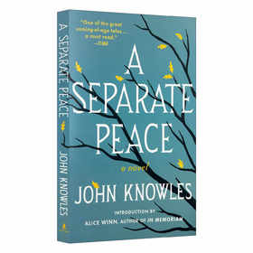 独自和解 英文原版青春小说 A Separate Peace 一个人的和平 全英文版进口英语书籍 另一种和平 电影原著 可搭麦田里的守望者正版