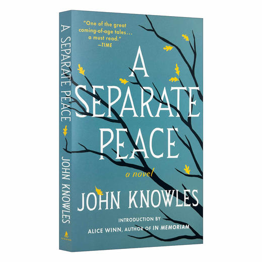 独自和解 英文原版青春小说 A Separate Peace 一个人的和平 全英文版进口英语书籍 另一种和平 电影原著 可搭麦田里的守望者正版 商品图0