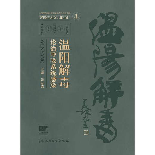 温阳解毒论治呼吸系统感染 商品图1
