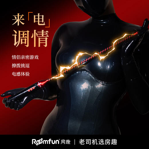Roomfun房趣 激情电击调教棒 商品图0