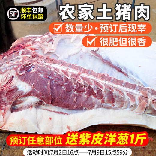 【预定7月10日发货 新鲜现宰现发 】土猪年猪 养殖周期长 粮食喂养  多部位可选 五花肉 前尖 土猪 送调料包 商品图0