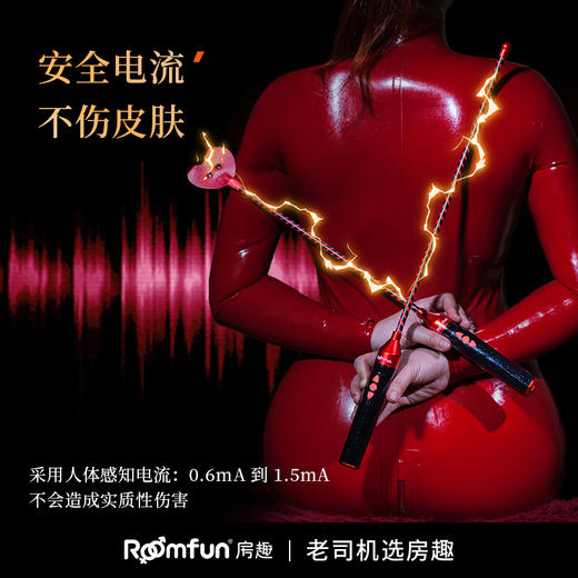 Roomfun房趣 激情电击调教棒 商品图1