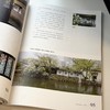 【202502】脉纹千年 读者欣赏杂志 2025年第2期 双月刊 每2月更1期 美学入门级读本 商品缩略图3