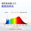 欧普AAAAA级双芯护眼台灯阅读书桌宿舍学习灯学生T形台灯小路灯博悦Plus 商品缩略图2