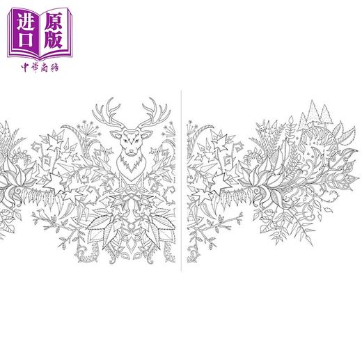 预售 【中商原版】迷你魔法森林涂色书 便携版 乔汉娜·贝斯福 Miniature Enchanted Forest 英文原版  Johanna Basford 商品图3