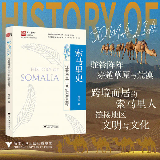 索马里史：泛索马里主义研究与思考/浙江智库/浙江师范大学非洲探究院/非洲区域国别学系列书 总主编 刘鸿武/非洲国别发展史丛书 商品图0