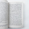 时时刻刻 英文原版 The Hours 洛维夫人实验性小说 奥斯卡获奖同名电影原著小说 英文版进口书籍正版 商品缩略图4