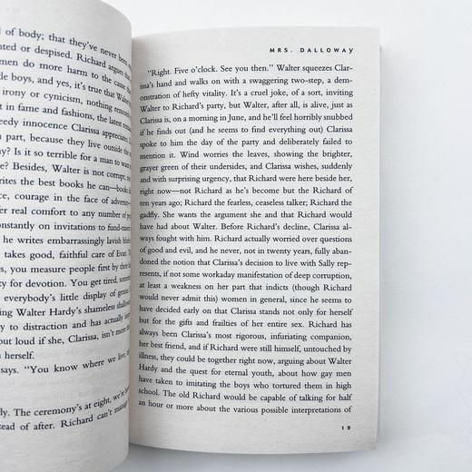 时时刻刻 英文原版 The Hours 洛维夫人实验性小说 奥斯卡获奖同名电影原著小说 英文版进口书籍正版 商品图4
