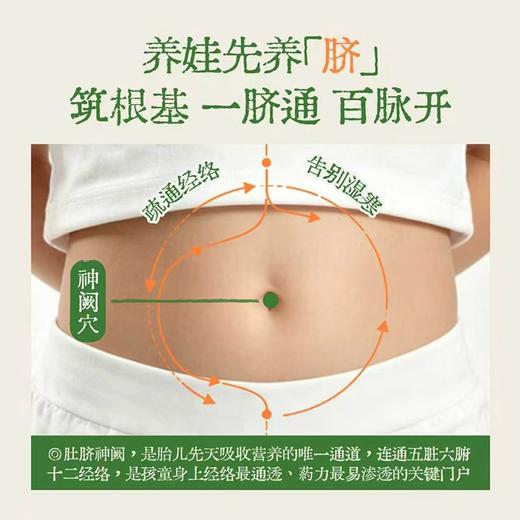 【全新升级！儿童专属三伏贴】真不二儿童道地蕲艾三伏套盒 3岁+以上使用（内含15贴蕲艾穴位膏贴+10贴蕲艾木姜子足贴）7月15日起下单赠1盒磨牙贴★ 商品图5