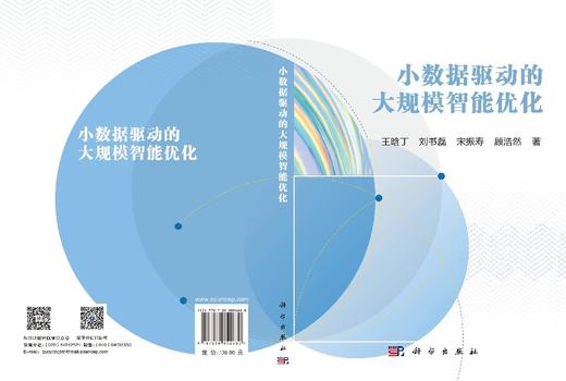 小数据驱动的大规模智能优化 王晗丁 9787030852830 商品图3