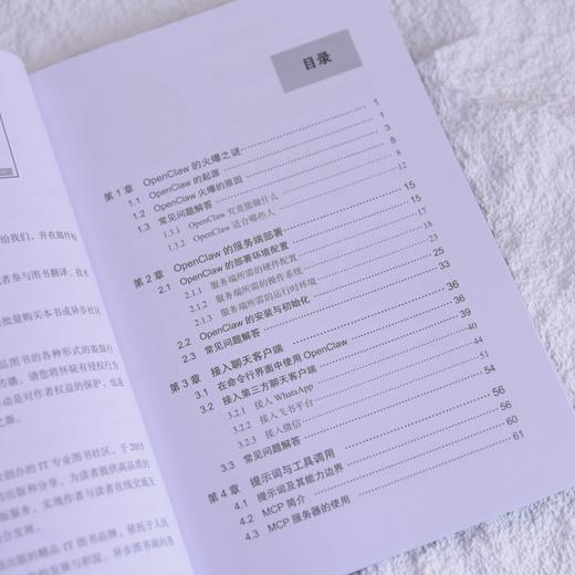 OpenClaw快速上手极简部署与实战 OpenClaw*基础入门到精通SKill智能体Agent 商品图1