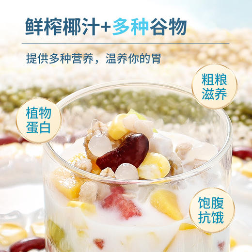 【南国食品】海南特产椰奶清补凉280gx6罐 商品图2