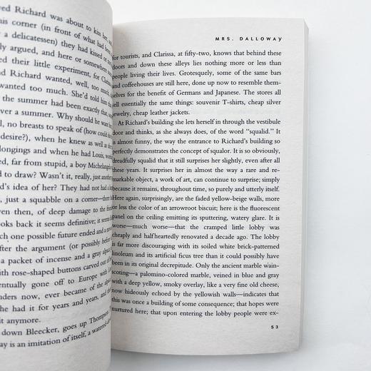时时刻刻 英文原版 The Hours 洛维夫人实验性小说 奥斯卡获奖同名电影原著小说 英文版进口书籍正版 商品图2