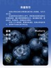 明谦冰萃夏语冰蓝莓冷萃咖啡豆曼特宁一剪莓意式美式黑咖啡粉 商品缩略图2